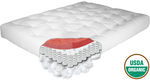 Natural Organic Cotton Soy Memory Foam Futon Mattress (The Futon Shop)